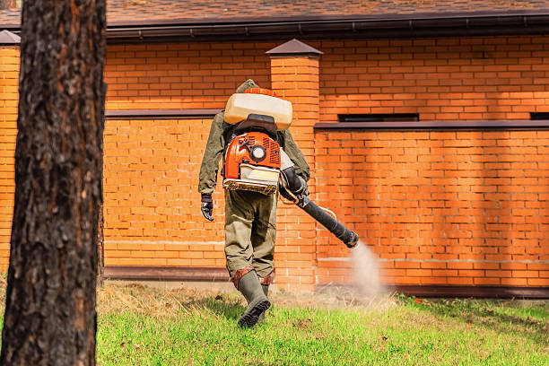 Bed Bug Clearance Verification and Documentation in Lisbon